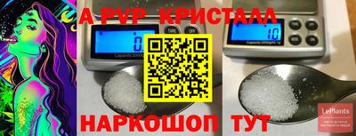 СК Туймазы